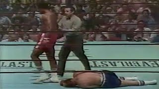 WOW WHAT A KNOCKOUT  George Foreman vs Scott Le Doux Full HD Highlights [upl. by Willie35]