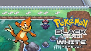 How to get Buizel in Pokemon Black amp White [upl. by Schacker364]