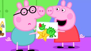 Peppa Pig en Español Episodios completos  La Estrella De La Guarderia  Pepa la cerdita [upl. by Francene344]