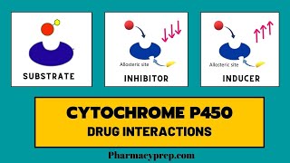 Cytochrome P450 Drug Interactions [upl. by Lyford]