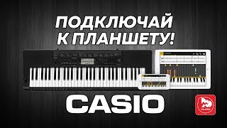 CASIO CTK3500  самый дешевый синтезатор с активной клавиатурой [upl. by Assilanna]