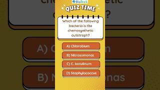 Kingdom Monera  Chemosynthetic Autotrophic Bacteria  Biological Classification  Class 11 Biology [upl. by Xanthus]