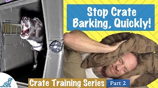 How To Stop Your Dog From Barking In Their Crate At Night [upl. by Hinda]