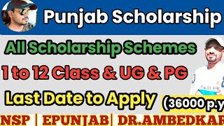 Punjab Scholarship  All Schemes Scholarship SC OBC GENERAL  Scholarship Last Date to Apply [upl. by Friedrick]