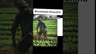 Kiswahili Lesson Today Learn Shamba Mkulima and Kulima  For Somali Speakers [upl. by Connor]