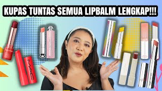 TOP 5 Most used LOCAL TINTED LIP BALM BYE BIBIR KERING dan PUCAT [upl. by Elli968]