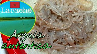 Angulas de Larache Receta con las auténticas y salvajes [upl. by Yrakaz502]