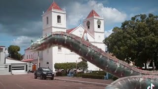 Cobra grande surge em Óbidos Pará 😱🐍 [upl. by Eelanej]