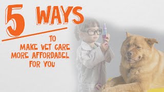 5 Strategies To Handle The Cost of Veterinary Care [upl. by Utter2]