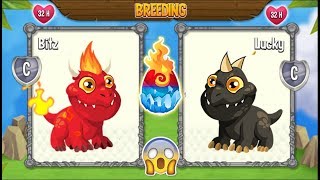 NEW BREEDING Flaming Rock Dragon amp Hedgehog Dragon  DRAGON CITY 😍 [upl. by Grose]