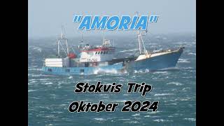 wwwtrawlerheritagecoza Amoria Okt 2024 [upl. by Yeltneb]