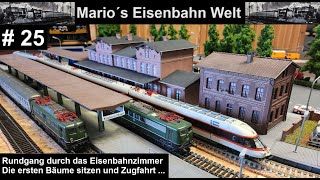 25 Der Eisenbahnraum und die ersten Bäume  Zugfahrten  H0 Anlage  Mario´s Eisenbahn Welt [upl. by Nosyt]