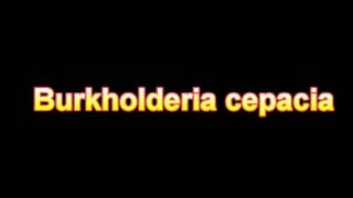 What Is The Definition Of Burkholderia cepacia Medical Dictionary Free Online [upl. by Mandel]