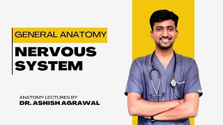 Nervous System  General Anatomy  Anatomy Lectures by Ashish [upl. by Nahrut]