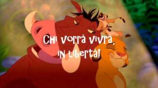 Il Re Leone  Hakuna Matata LYRICS [upl. by Luz965]