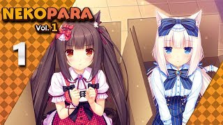 Nekopara Vol1 PC Blind Lets Play  Whats In The Box  Part 1 [upl. by Oal116]