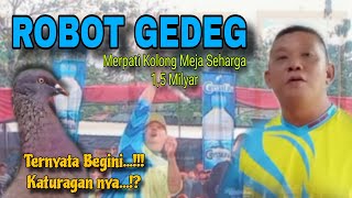 ROBOT GEDEG Katuragan merpati 15 Milyar Team Mutiara Purwokerto mutiaramerpati6393 [upl. by Bussy]