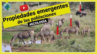 🔍 Propiedades emergentes de las poblaciones  ecología 🍃 [upl. by Neryt]