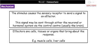 A Level Biology  5112  Homeostasis [upl. by Heppman]