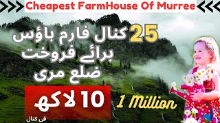 Farmhouse Land For Sale In Murree💥Farm House For Sale💯25 Kanal Cheap Land For SaleMurree Raqba 4Sal [upl. by Etnoek]