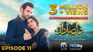 DileNadan Episode 11  Eng Sub  Mikaal Zulfiqar  Amar Khan  Ali Abbas  17th September 2024 [upl. by Avon]