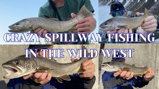 TROUT FISHING THE BIGGEST SPILLWAY IN THE USA HUGE TROUT ARE HIDING IN A CONCRETE POOL IN WYOMING [upl. by Seabury277]