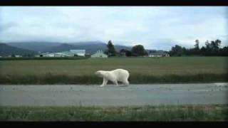 Nissan LEAF The making of the Polar Bear Commercial [upl. by Idisahc978]