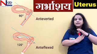 Uterus in Hindi  Female Reproductive System  Nursing Lecture [upl. by Grishilda]