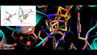 Nitrogenase  Nitrogen fixation Enzyme [upl. by Kamat]