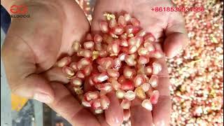 Pomegranate Seeds Extractor Machine Video [upl. by Afital]