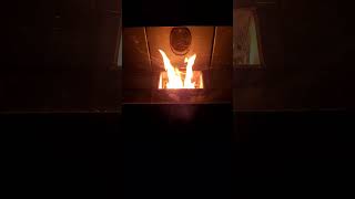 Wood pellet stove [upl. by Anahsahs717]