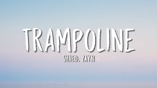 SHAED ZAYN  Trampoline Lyrics [upl. by Yarb]