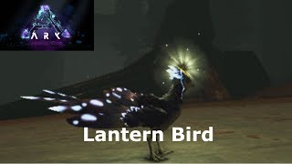 Ark Aberration New Creature Showcasing The Lantern Bird and Spawn Codes AKA Featherlight [upl. by Emilia]