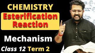 Mechanism of Esterification Reaction  Class 12 Term 2  Aldehydes Ketones and Carboxylic Acid [upl. by Yennor]