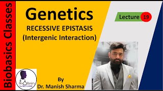 Recessive Epistasis Intergenic Interaction GENETICS [upl. by Thais939]