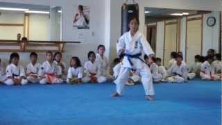 Pinan Sono Ichi Kata  Yamaki Karate [upl. by Atnwahs]