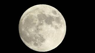 Heute Freitag Vollmond Lockdown für Alle Impfpflicht ab Februar 2022 [upl. by Gino775]