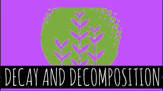 Decay and Decomposition  How Does Decay and Decomposition Work  GCSE Biology [upl. by Neo]