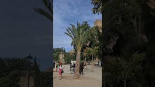 Mallorca Palma Kathedrale [upl. by Assyli297]