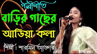 বাড়ির গাছের আডিয়া কলাRangpuriaCengraBondhureখেরবাড়িরচেংরাবন্ধুরেওরেরংপুরিয়াচেংরাবন্ধুরে [upl. by Yalhsa312]