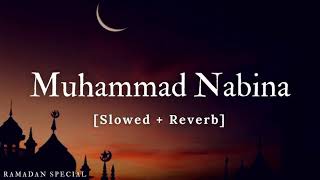 Muhammad nabina  SLOWED REVERB deenmylife08 [upl. by Coriss131]