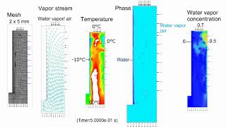 CFD Film Condensation Simultaneous Heat and Mass Transfer Model [upl. by Arikat]