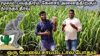 POWTHIRAM வேரோடு சரியாக pails problem solution at home tamil  hemorrhoids symptoms  TAMIL VLOGGER [upl. by Nylyahs]