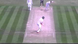 WICKET WATCH Mitchell Marsh b Salisbury 169 [upl. by Ttennaej]