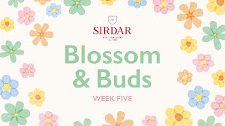 Sirdar Blossom amp Buds Crochet Along Week 5  In Full Bloom [upl. by Elagibba]