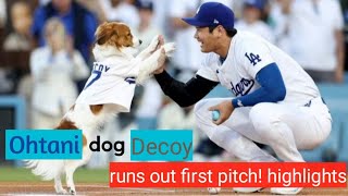 shohei ohtani dog throws out first pitch at Dodgers game highlights [upl. by Knudson]