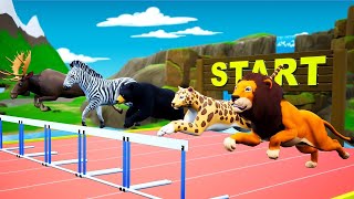 ANIMALS HURDLES RUNNING RACE  Animals Speed  Hurdle Racing  Animals Videos [upl. by Yank]