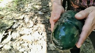 NICE GLASS INSULATOR FINDS IN THE CREEK [upl. by Auqenahs]