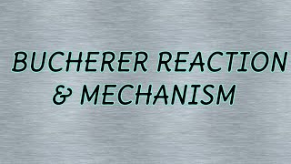 Bucherer ReactionMechanismExample [upl. by Okier]