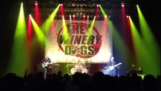 The Winery Dogs Live OSAKA20160415Zeppなんば [upl. by Magdala875]